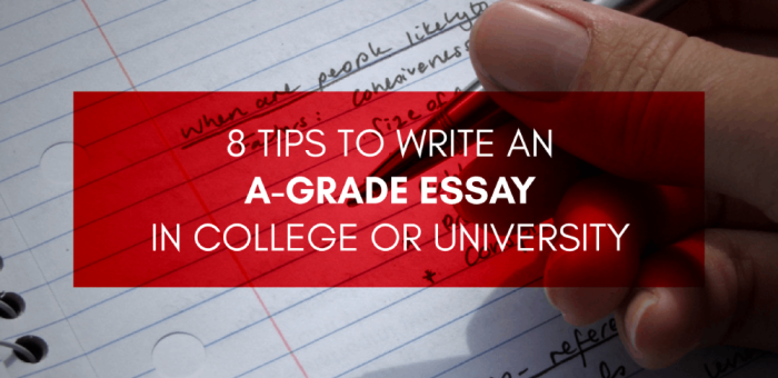 8 tips for college or university students to write an a-grade essay
